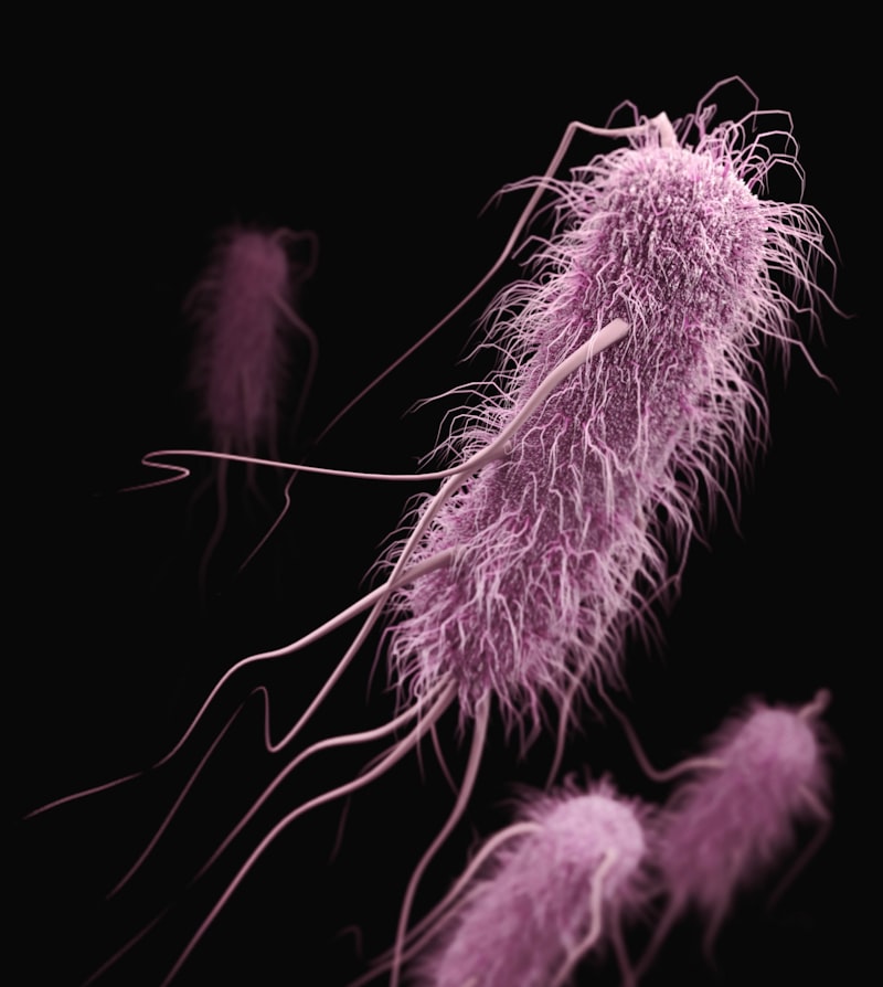Resiliencia Biológica: El poder oculto de los antibióticos