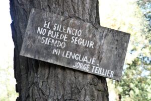 Señales de Alarma: El lenguaje oculto de la supervivencia