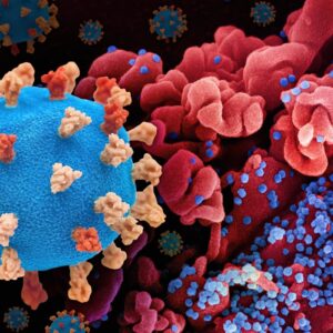Sistemas Inmunes Artificiales: Inteligencia que se protege