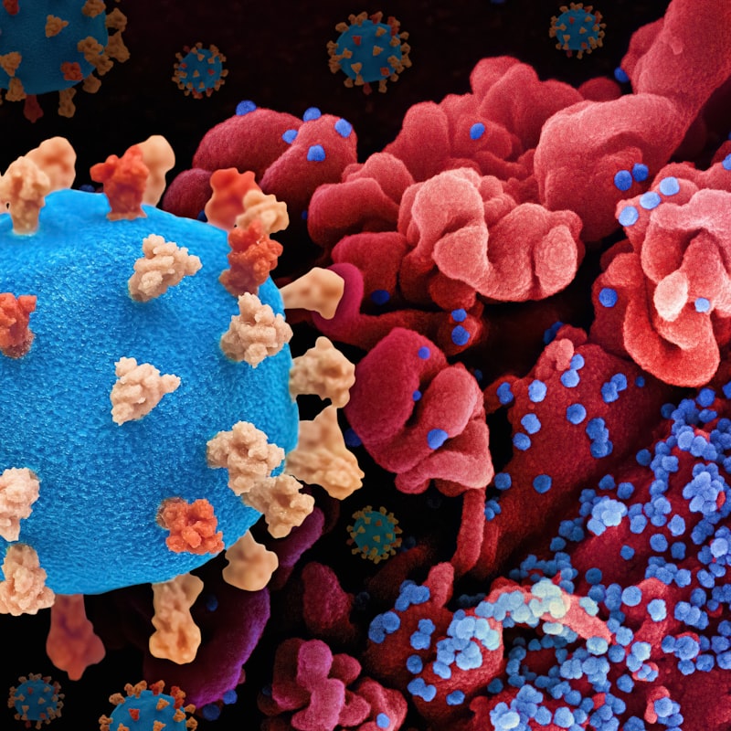 Sistemas Inmunes Artificiales: Inteligencia que se protege