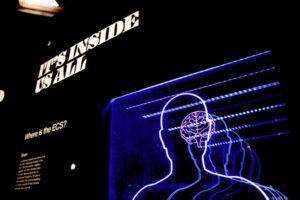 Tecnología Reproductiva: El impacto psicológico de la vida