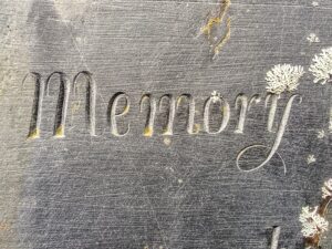 Trastorno Amnésico: Cuando la memoria se desvanece