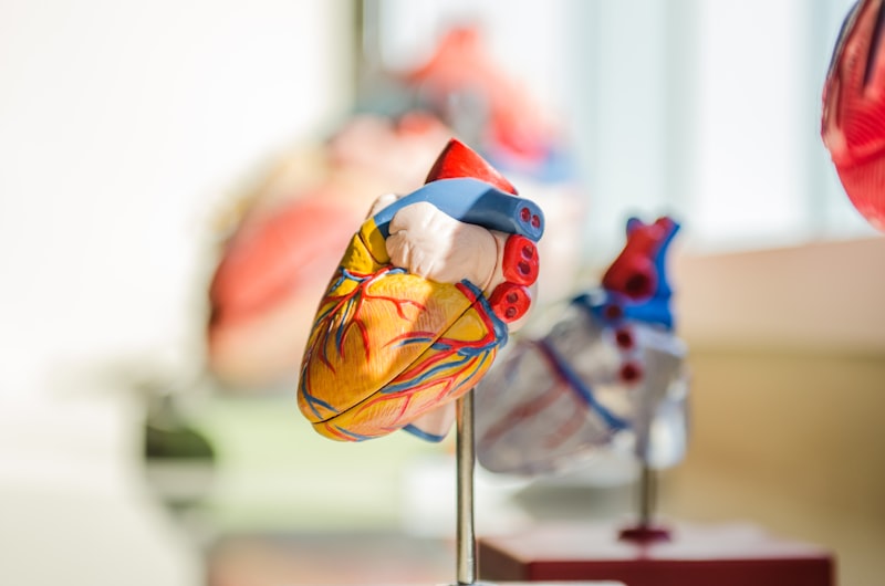Unidad de Análisis: El corazón de tu investigación científica