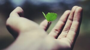 Zona de Potencialidad: El poder de crecer