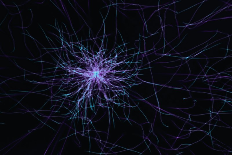 Colaterales Axónicas: El arte de la conexión neuronal