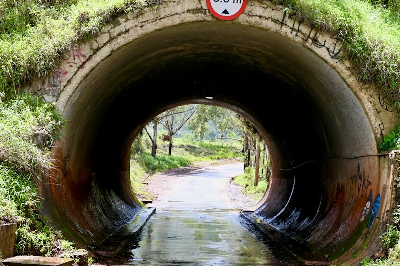 Estrechamiento Atencional: El efecto túnel bajo presión