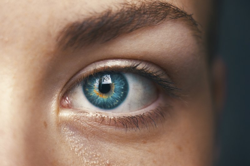 Fenómeno de Aubert: ¿Por qué tus ojos engañan al tiempo?