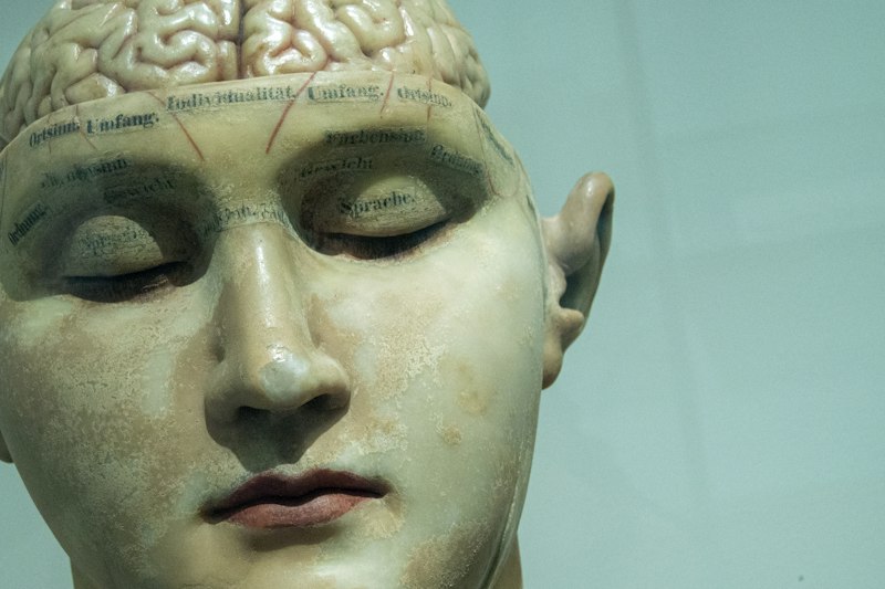 Medición de actitudes: Cómo descifrar la mente humana